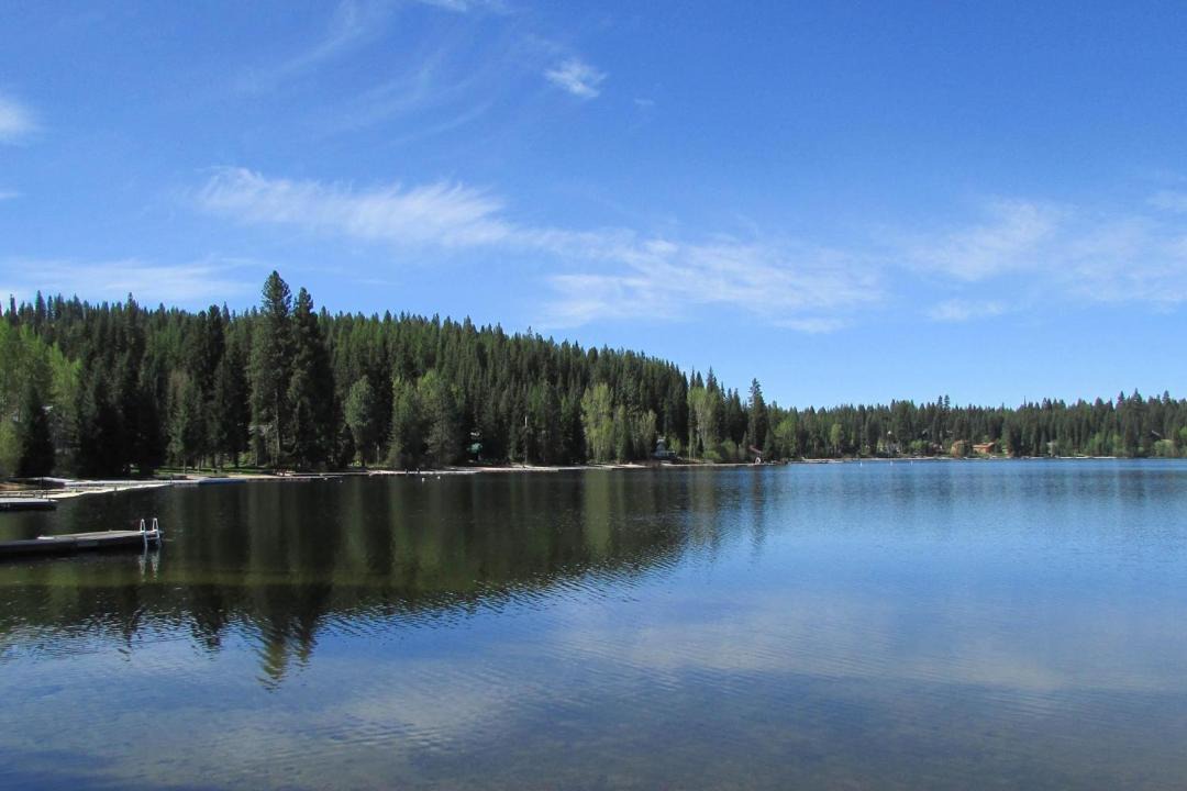 Photo of Others in McCall