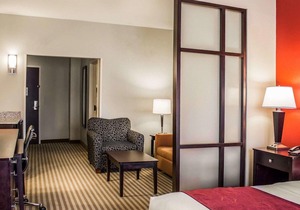 Comfort Suites East Broad at 270