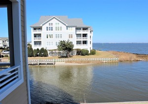 Pet Friendly at Pirate's Cove - Buccaneer Village 1114