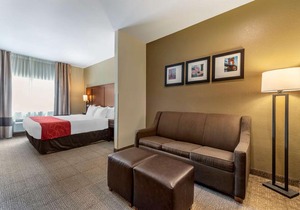 Comfort Suites Mason