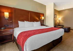 Comfort Suites Mason