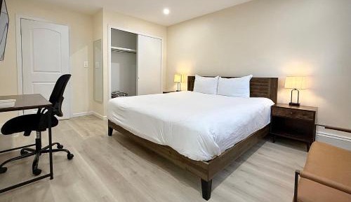 Standard King Room