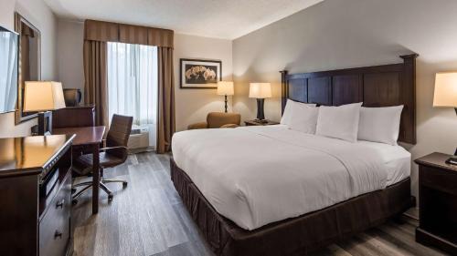 King Room
