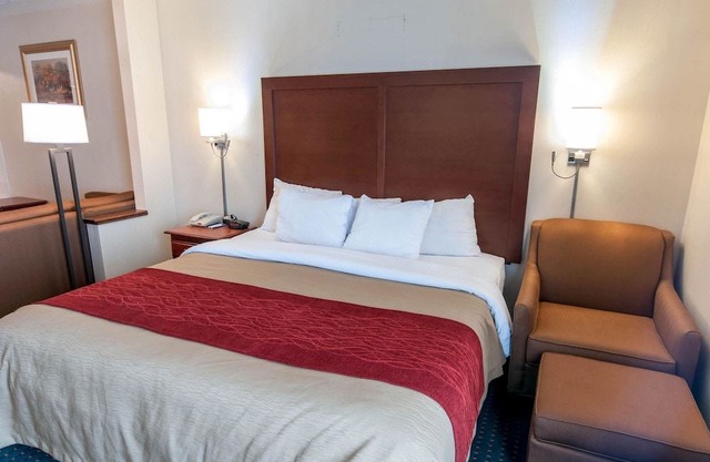 Comfort Inn & Suites Mount Pocono